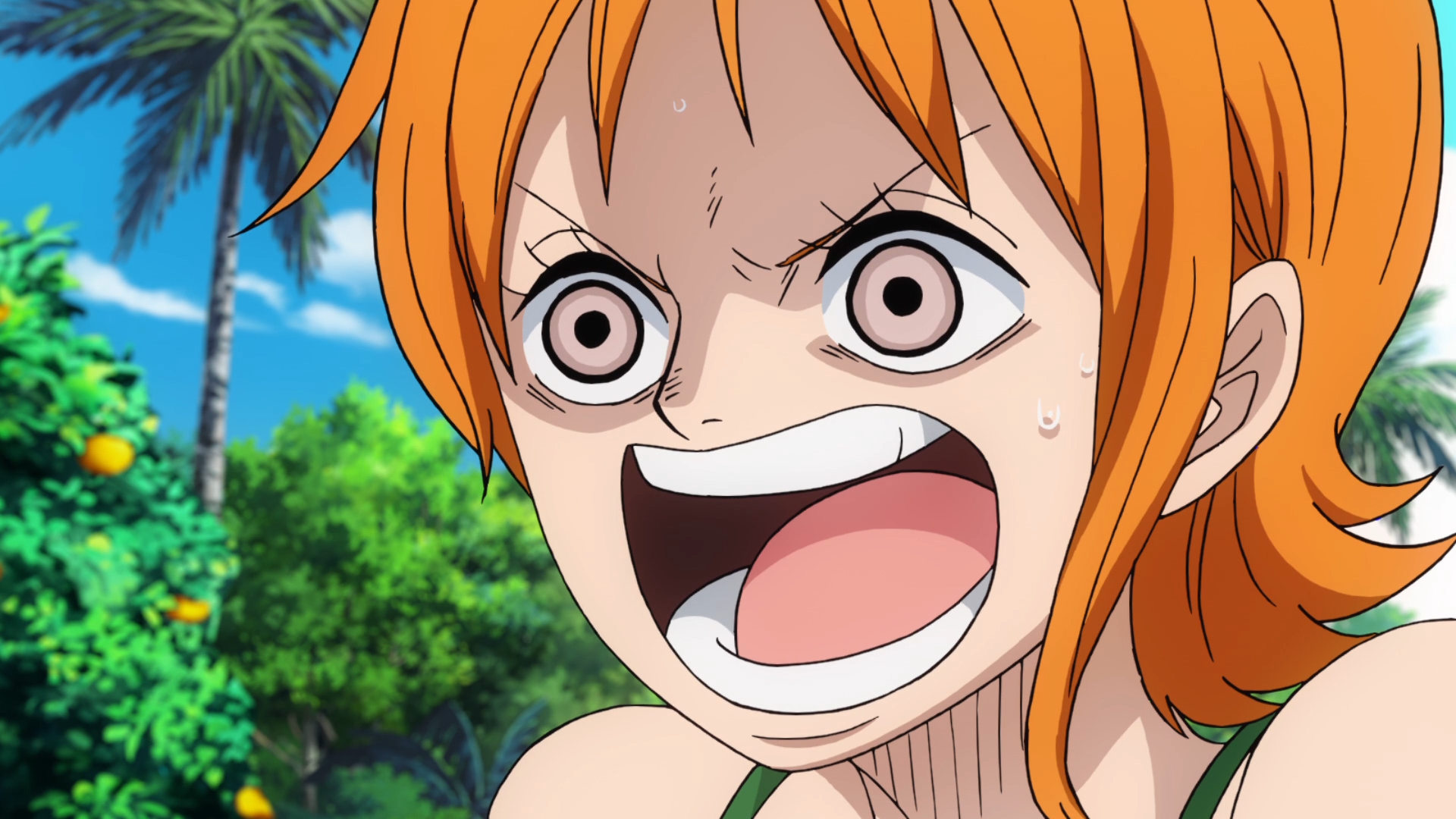One Piece: Episode of East Blue - Luffy to 4 Nin no Nakama no Daib (Puyasubs!!)
